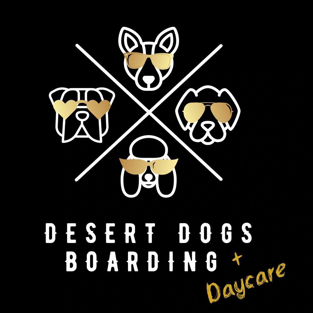 Desert Dogs Boarding